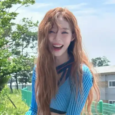 公凡梦